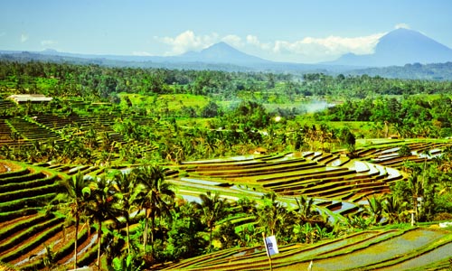 TOUR PACKAGES IN BALI
