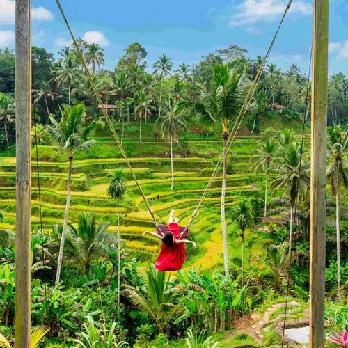 Bali Ubud Tour - Tegalalang Rice Terrace